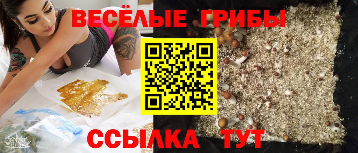 где купить наркоту  Галлюциногенные грибы Cubensis  Красноярск  Вход с VPN  Псилоцибиновые грибы мицелий 